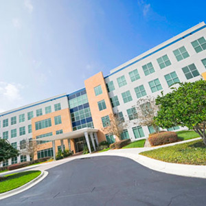 Avid Web Design Orlando