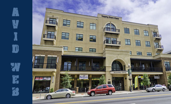 Avid Web Design Tallahassee