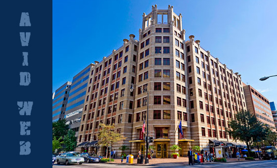 Avid Web Design Washington DC