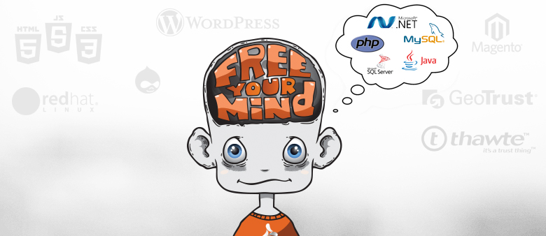 Orlando Custom Application Design